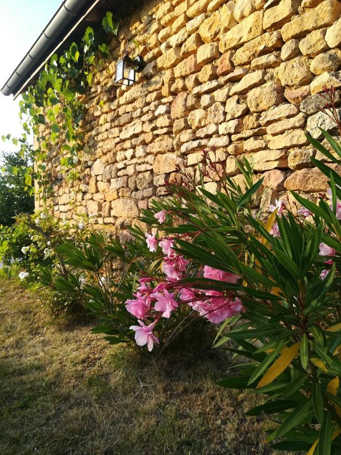 O Reve De Gabriel Bed & Breakfast Saint-Amand-de-Coly Luaran gambar