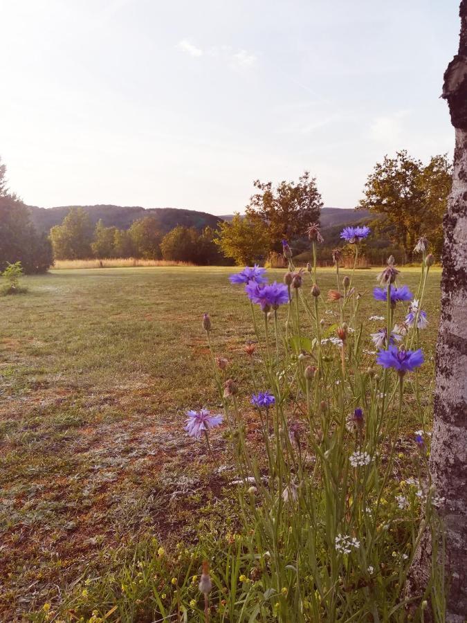 O Reve De Gabriel Bed & Breakfast Saint-Amand-de-Coly Luaran gambar