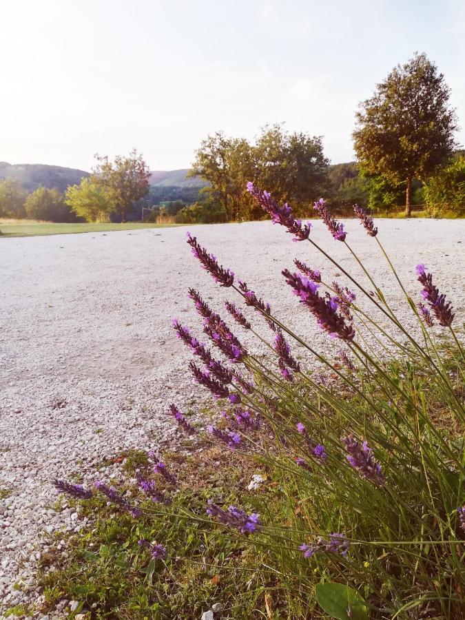 O Reve De Gabriel Bed & Breakfast Saint-Amand-de-Coly Luaran gambar